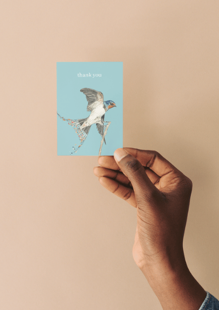 Swallow Thank You QR Card - Add Video, Photo or Voice to this card