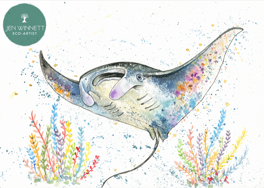 MERLIN THE MANTA RAY - SIGNED PRINT