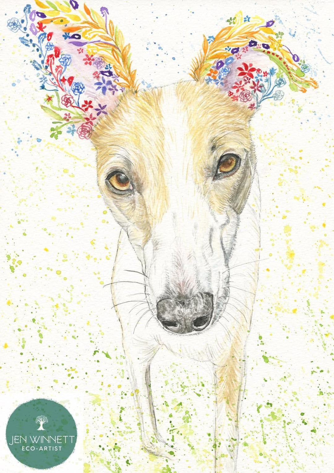 Amber the Whippet