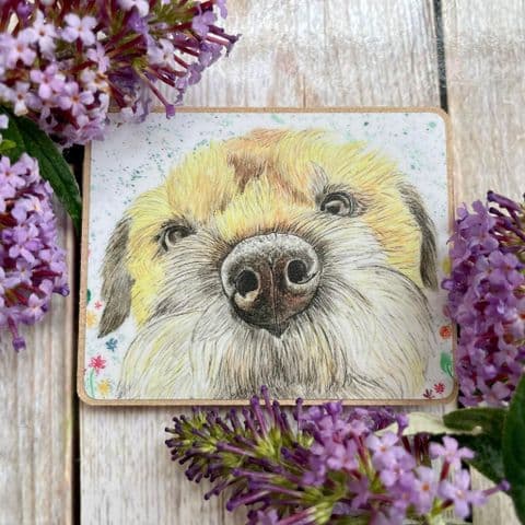 BORDER TERRIER ECO FRIDGE MAGNET