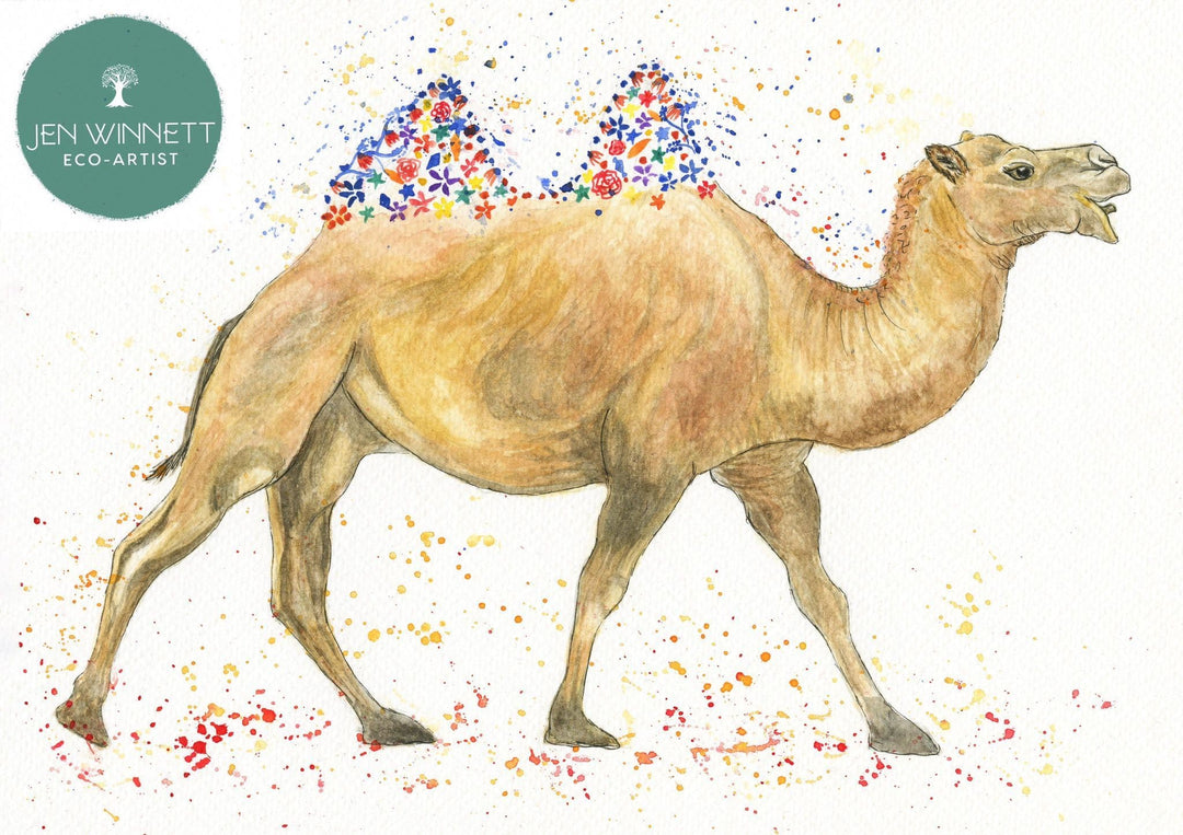 CARL THE CAMEL - SIGNED PRINT