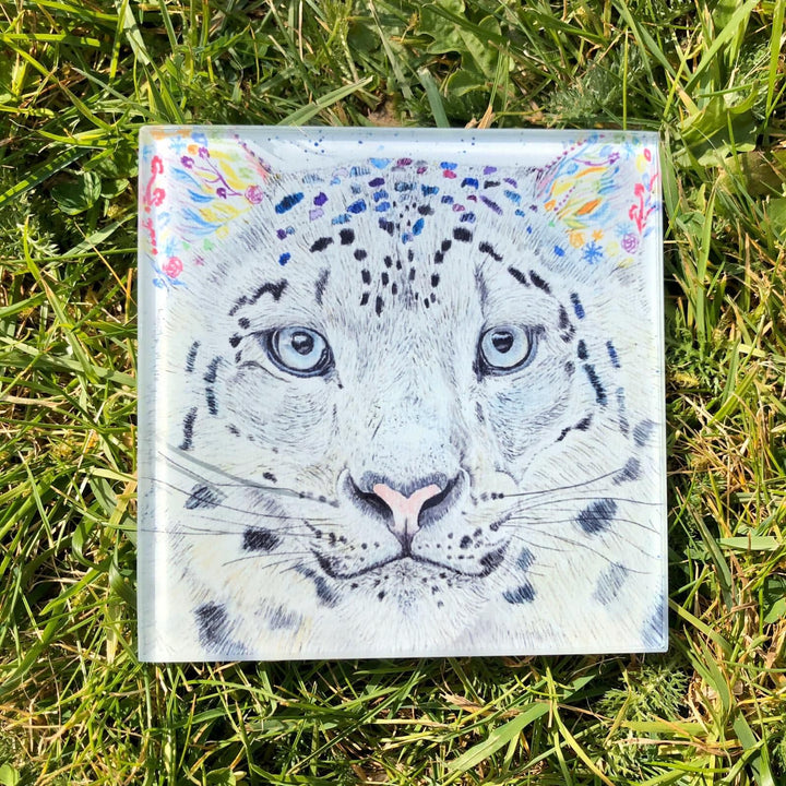 DYLAN THE DONKEY ECO-COASTER