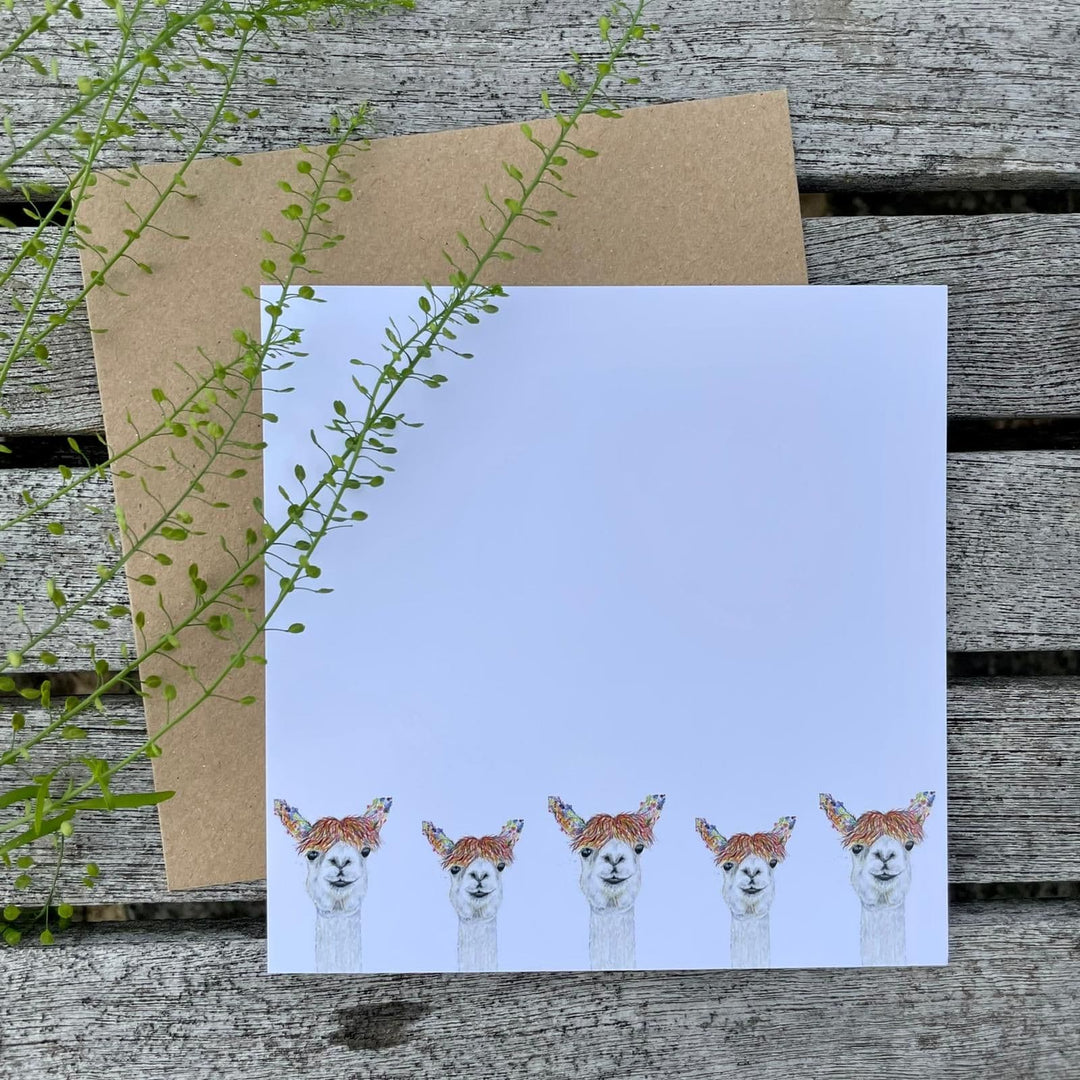 ECO NOTECARDS - PACK OF 5 MIXED DESIGNS