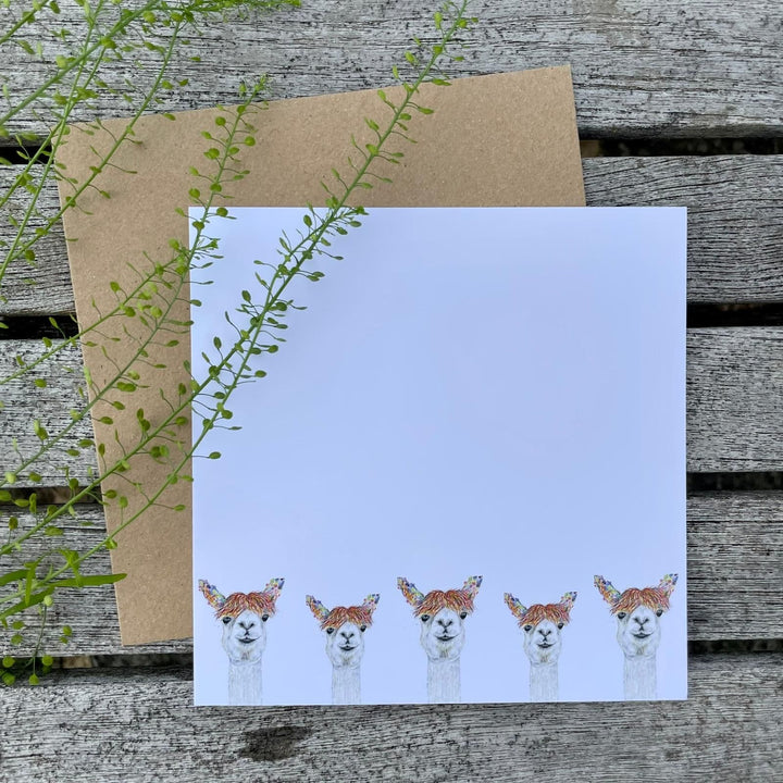 ECO NOTECARDS - PACK OF 5 MIXED DESIGNS