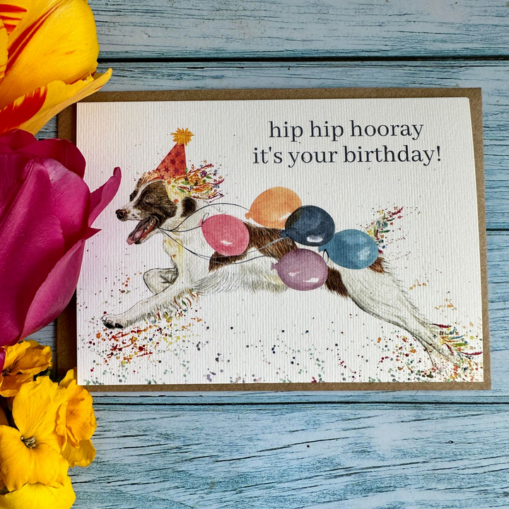 HIP HIP HOORAY IT&