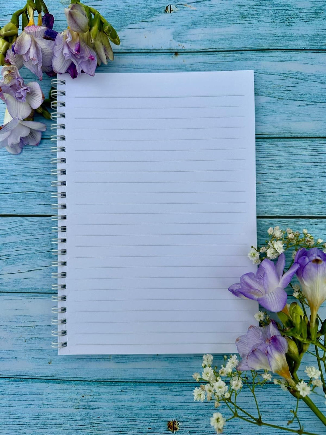 JESTER THE HORSE LINED ECO FRIENDLY NOTEBOOK - A5 - UK MADE