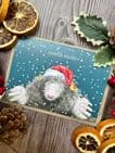 NORTH MOLE CHRISTMAS ECO CARD