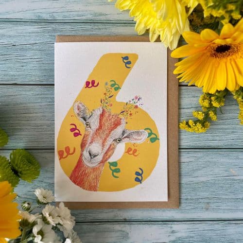 NUMBER 6 ECO-CARD