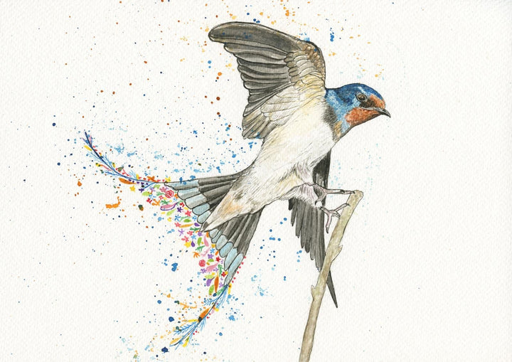 Original Swallow