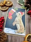 SILENT NIGHT CHRISTMAS BUNNY ECO CARD