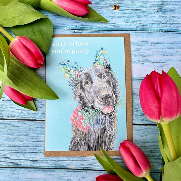 SORRY TO HEAR YOUR PAWLY ECO CARD
