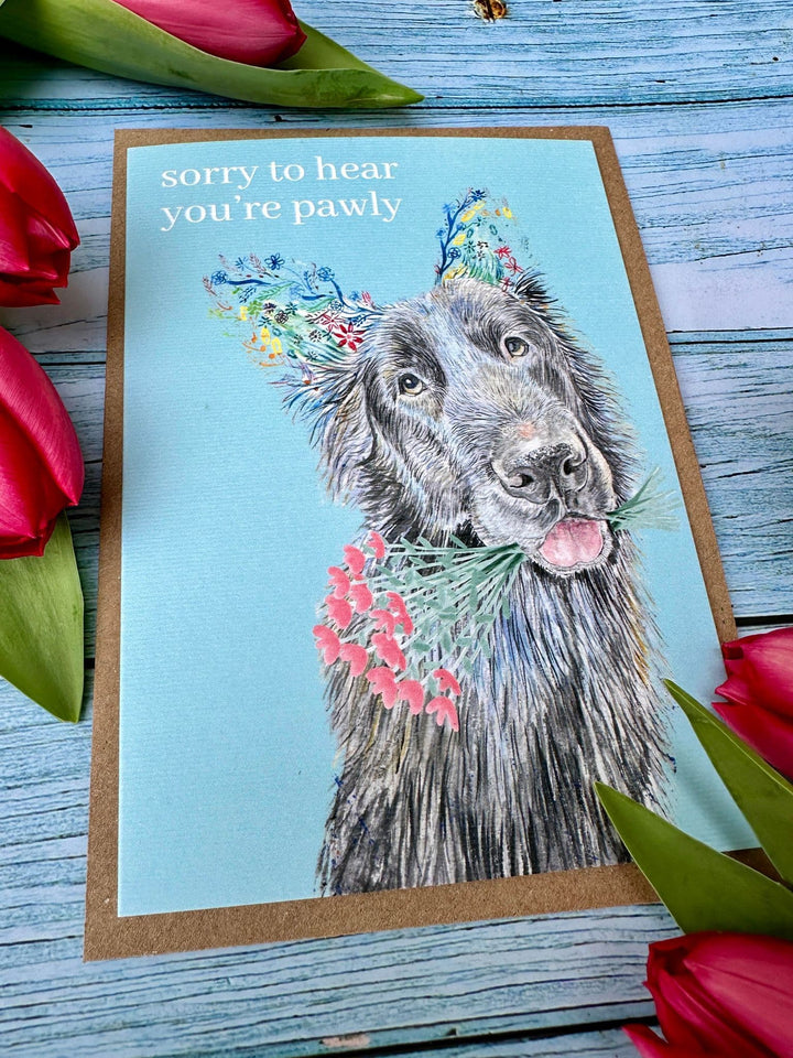 SORRY TO HEAR YOUR PAWLY ECO CARD
