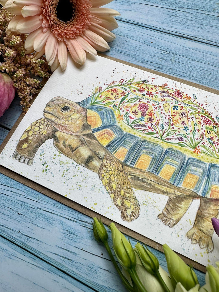 TERRY THE TORTOISE ECO CARD