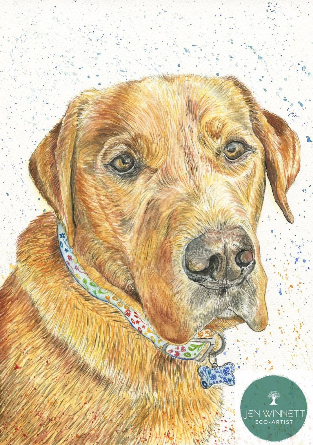 Wellie the Labrador